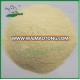 Garlic granules/ Dehydrated garlic granules/Dry garlic granules