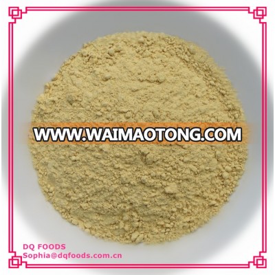 Dehydrated Ginger Powder (Free Sample)